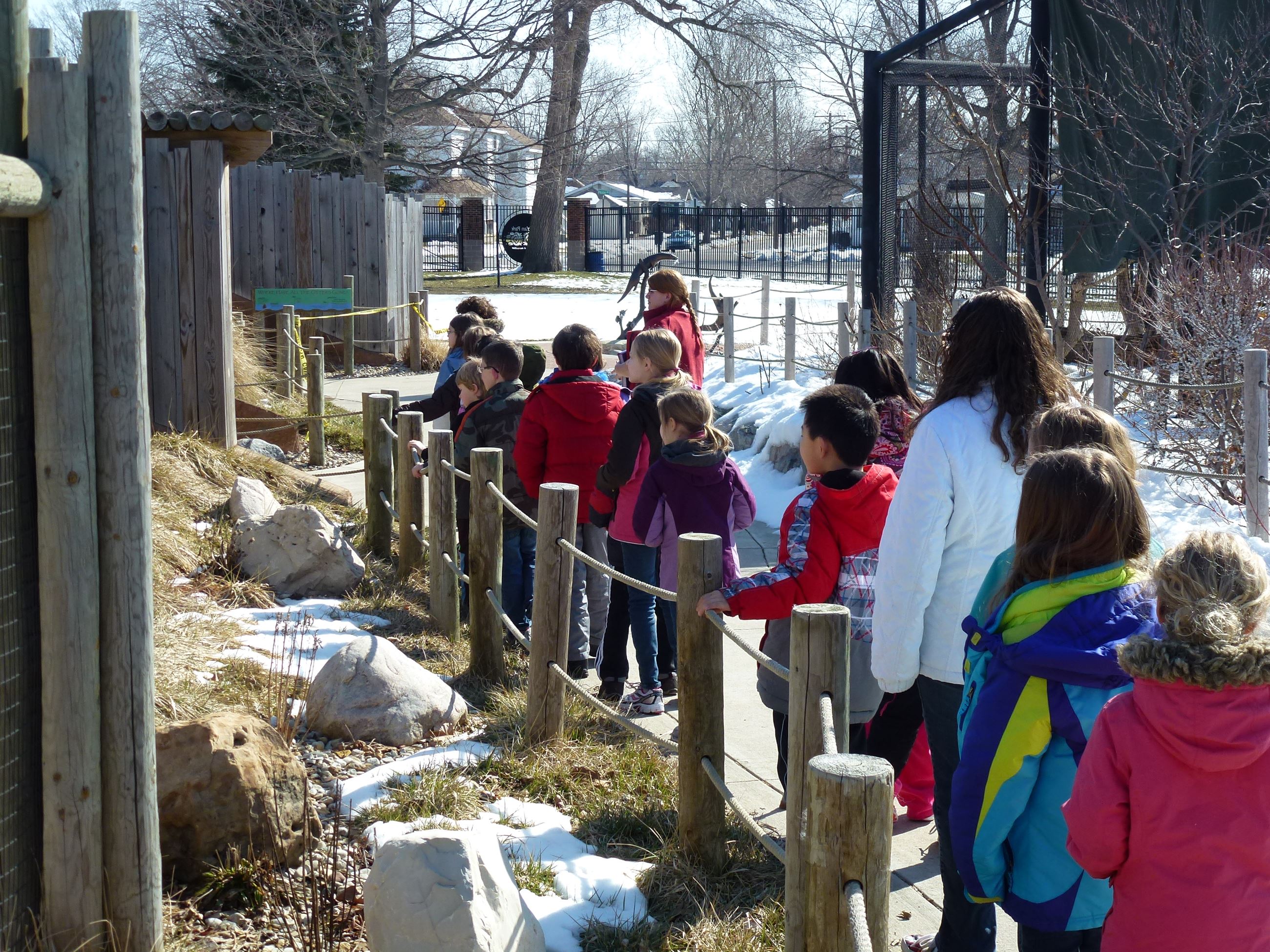 A group of children in jackets on a walk stop to view the river otter exhibit 