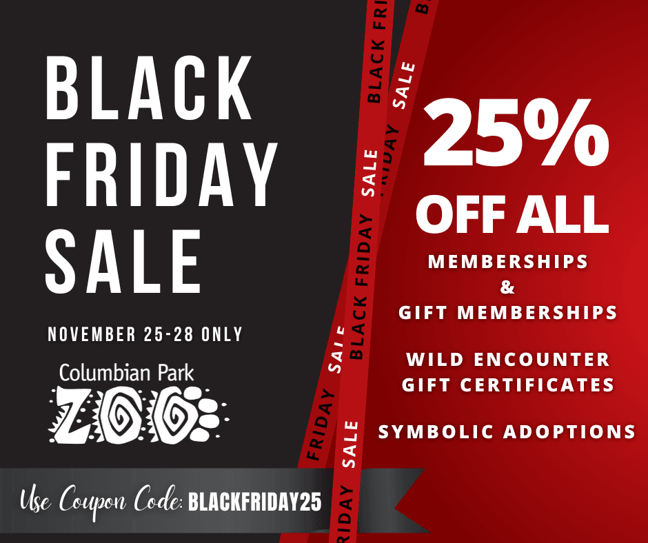 CPZ Black Friday 2022 (2)