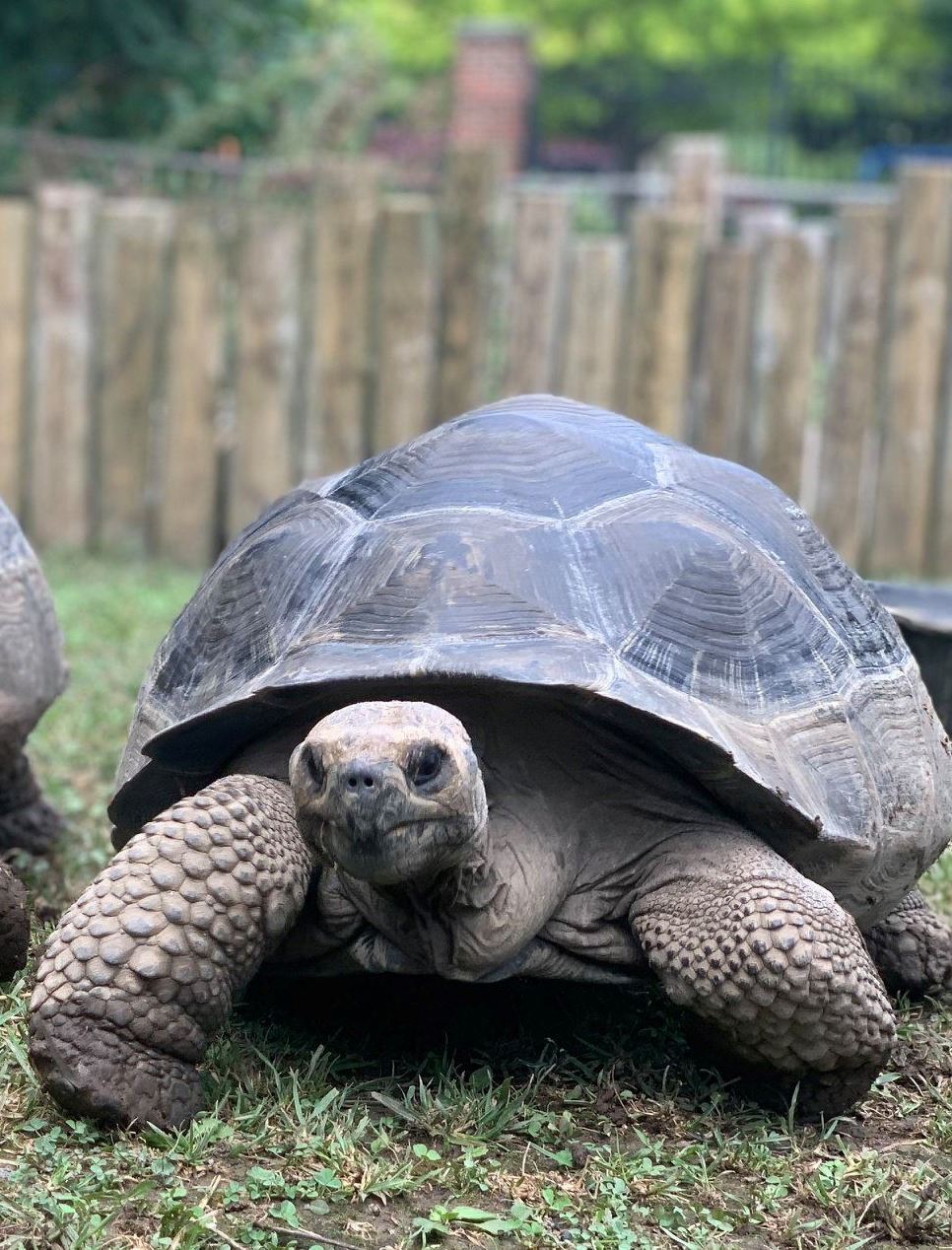 107092563_10157588723423412_3317698034205046377_o