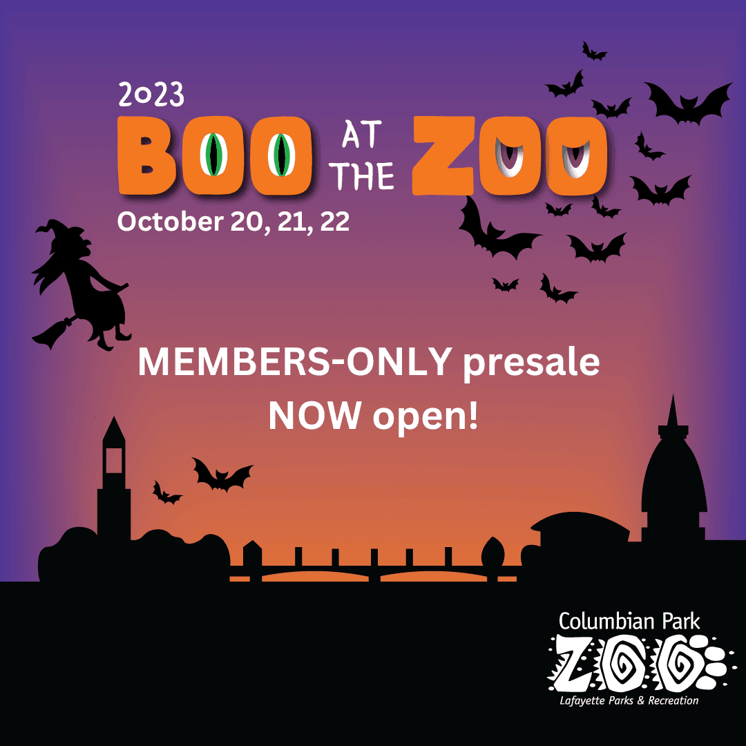 BATZ save-the-date IG square (2)