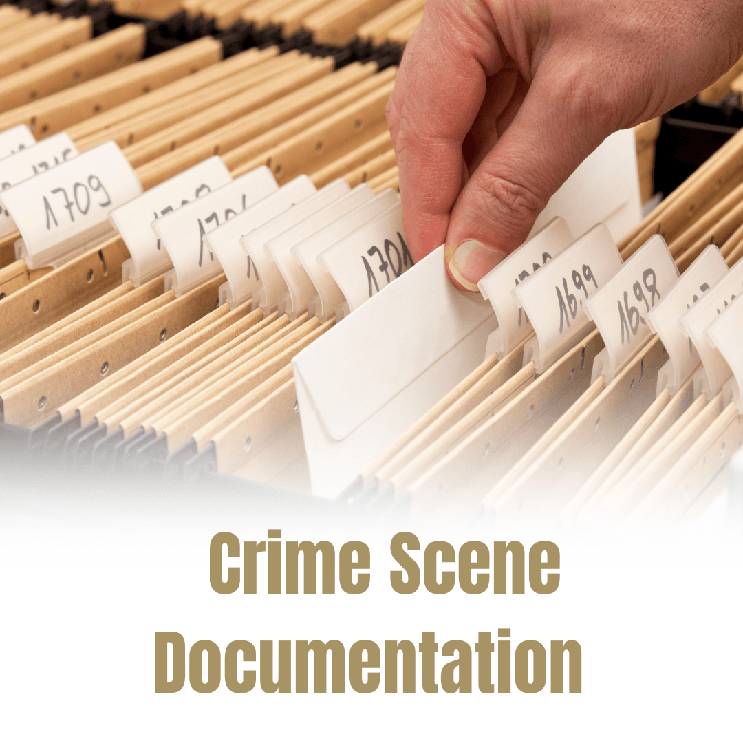 CSI Responsibilities (2)