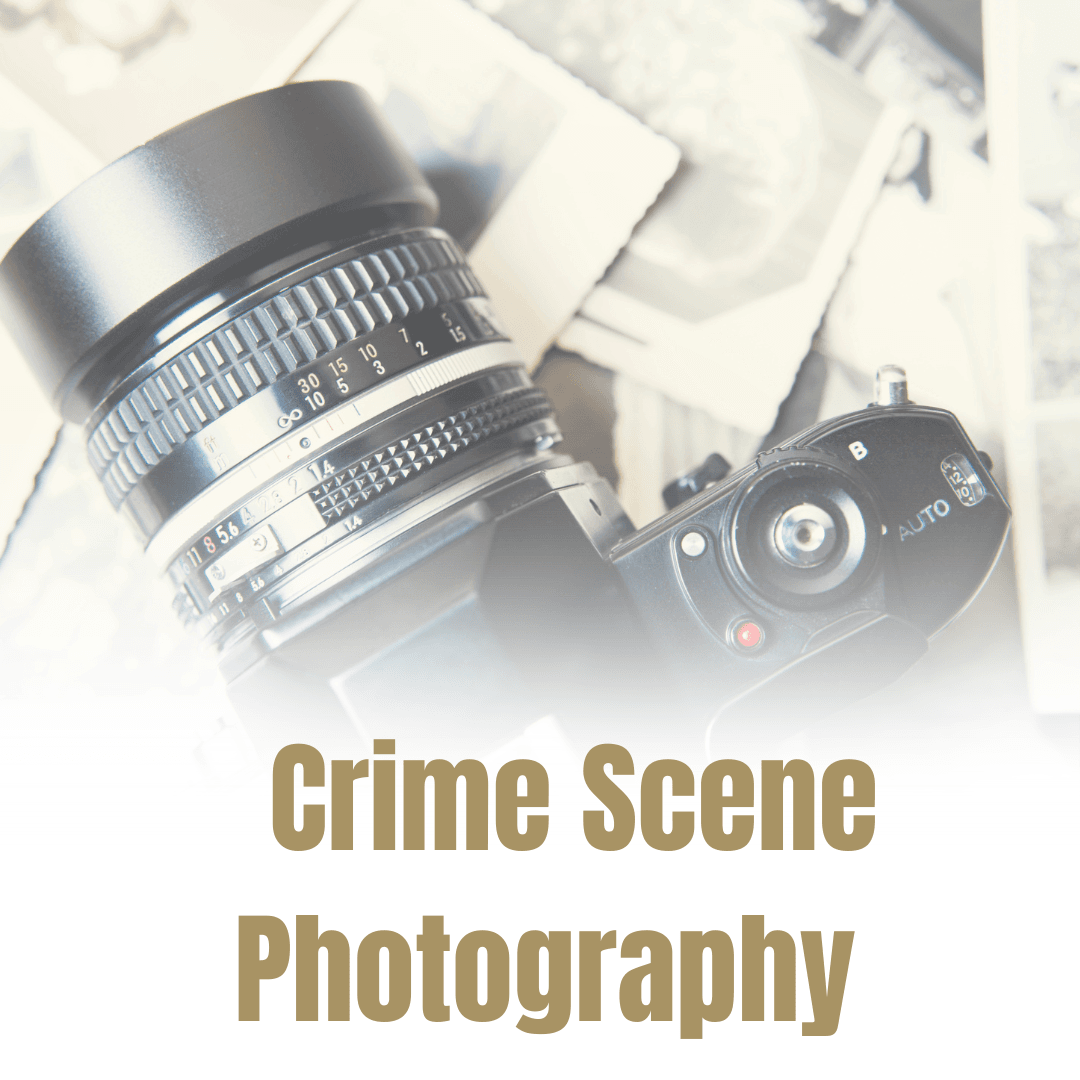 CSI Responsibilities (3)