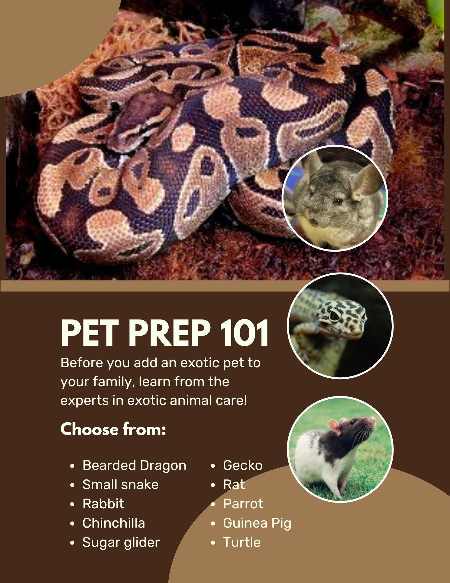PET PREP 101