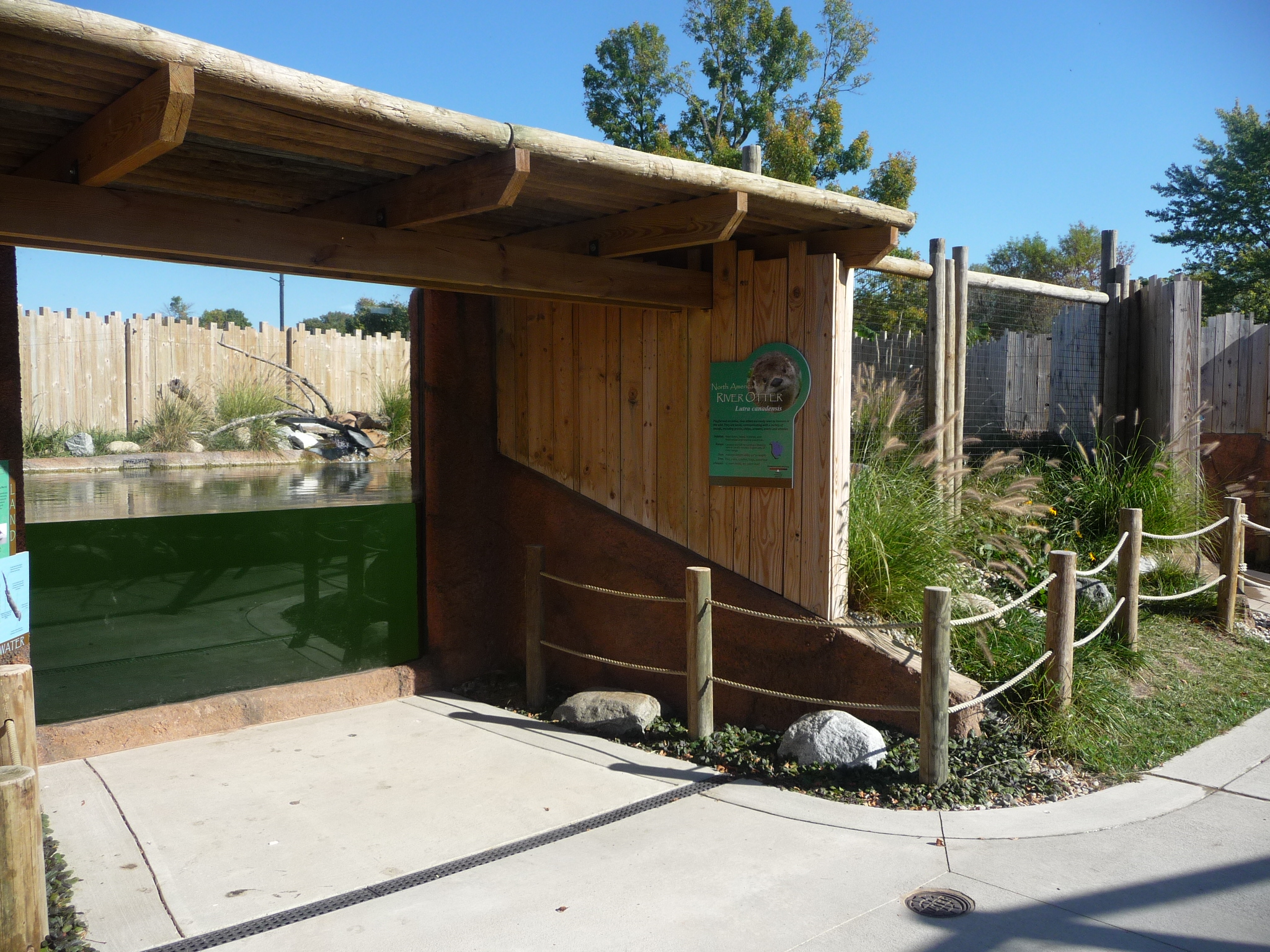 River Otter exhibit with front viewing