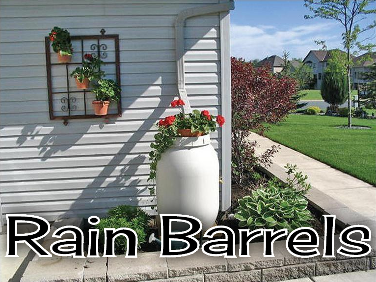 rain barrel 1