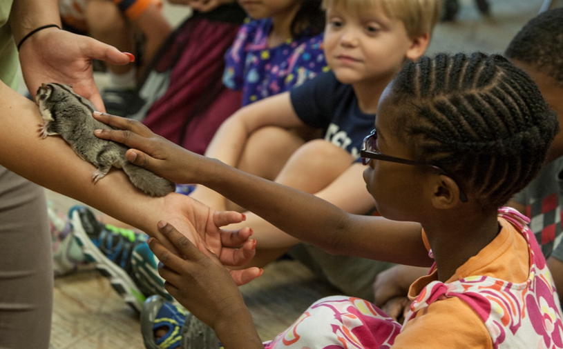 Glider encounter.png