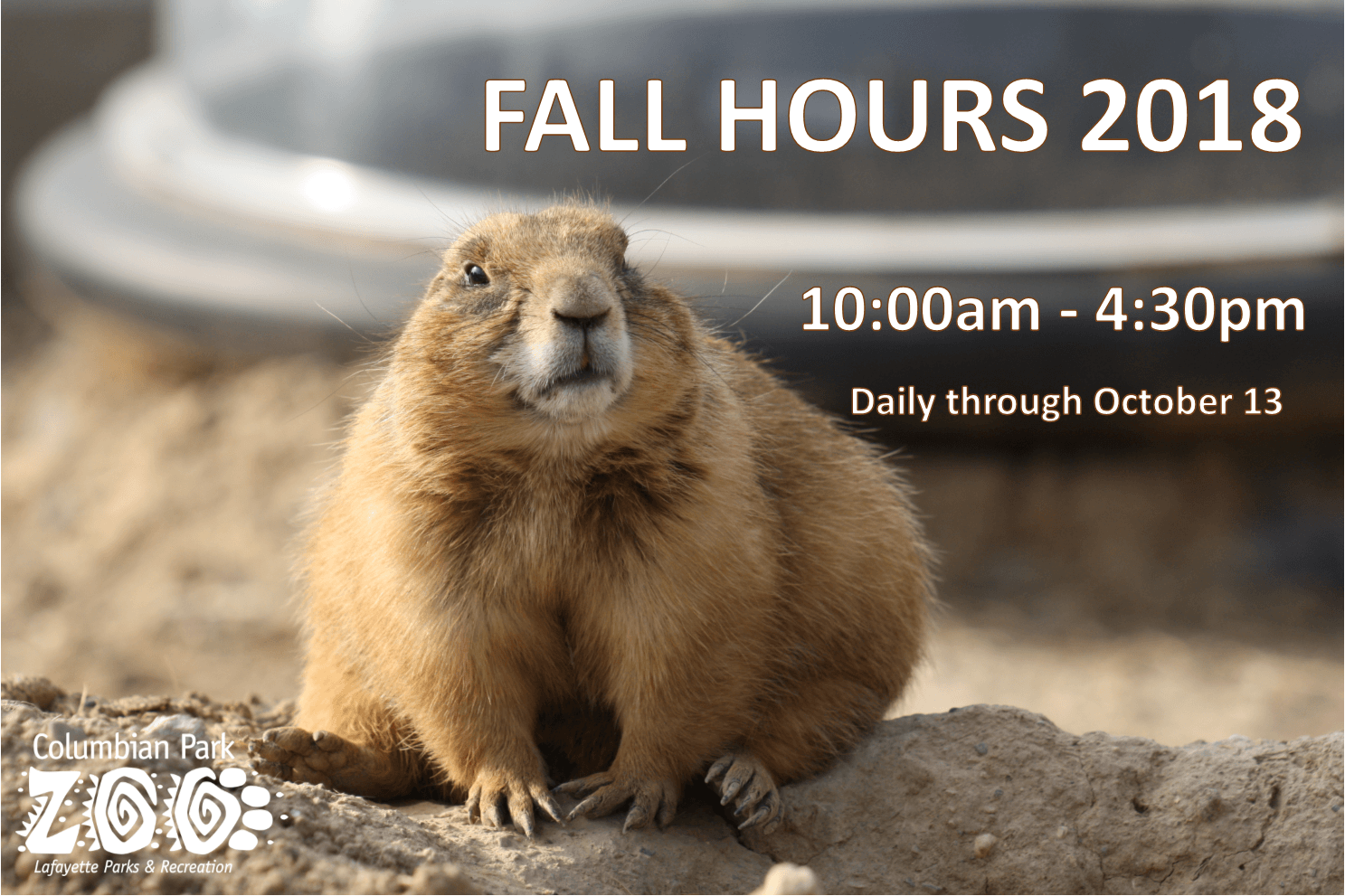 Fall Hours pic