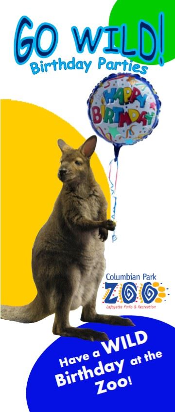 Go Wild!  Bday cover pic