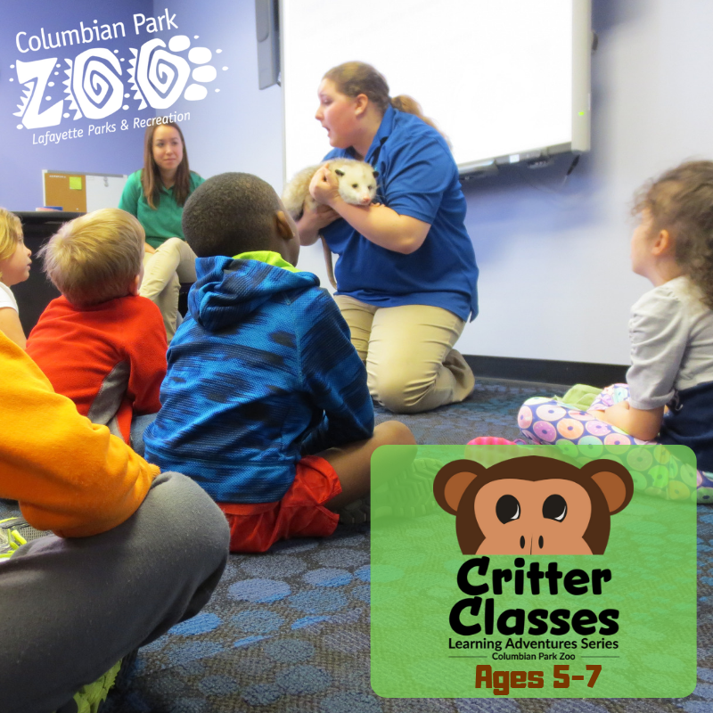 Critter Classes Graphic