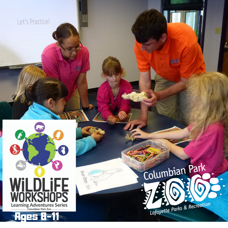 Wildlife Workshops