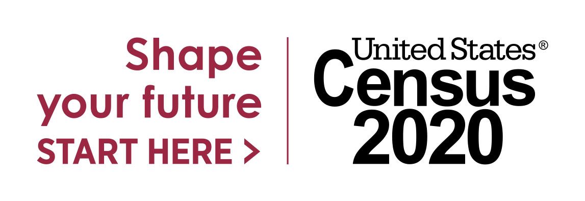 Census 2020 logo