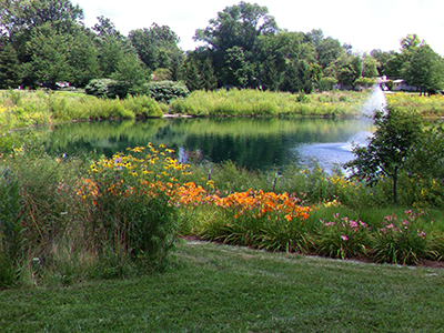 Flowers and pond feature